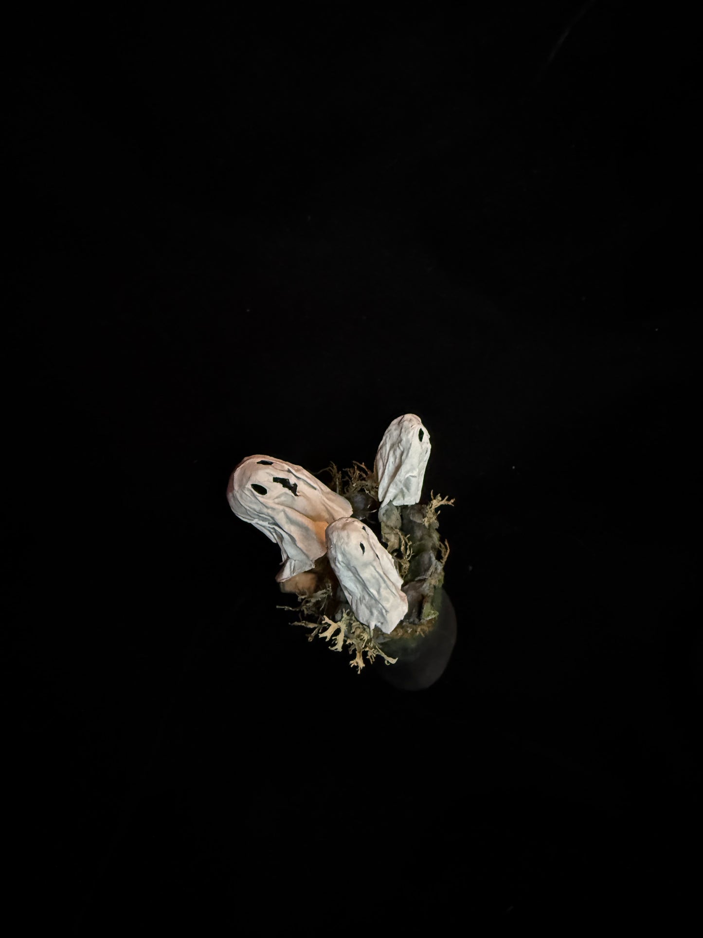 Ghosts