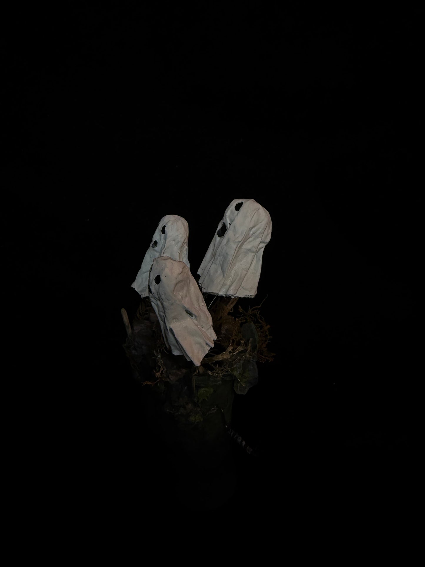 Ghosts