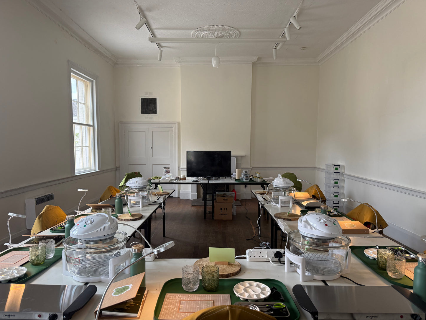 Workshop: Automata: Bats