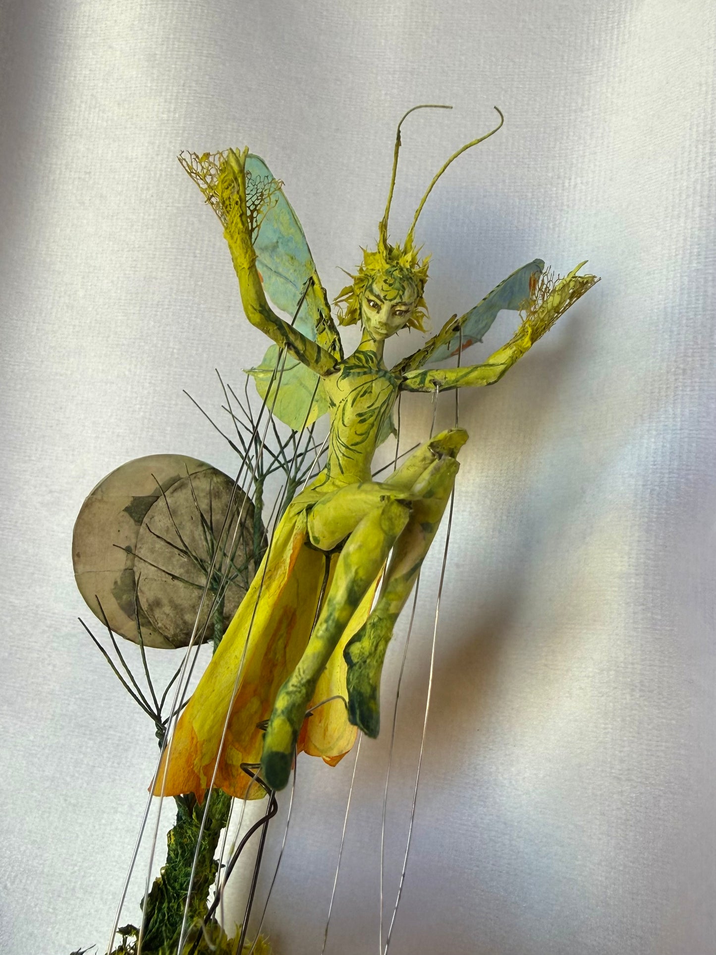 Pre-Order: Spring Equinox