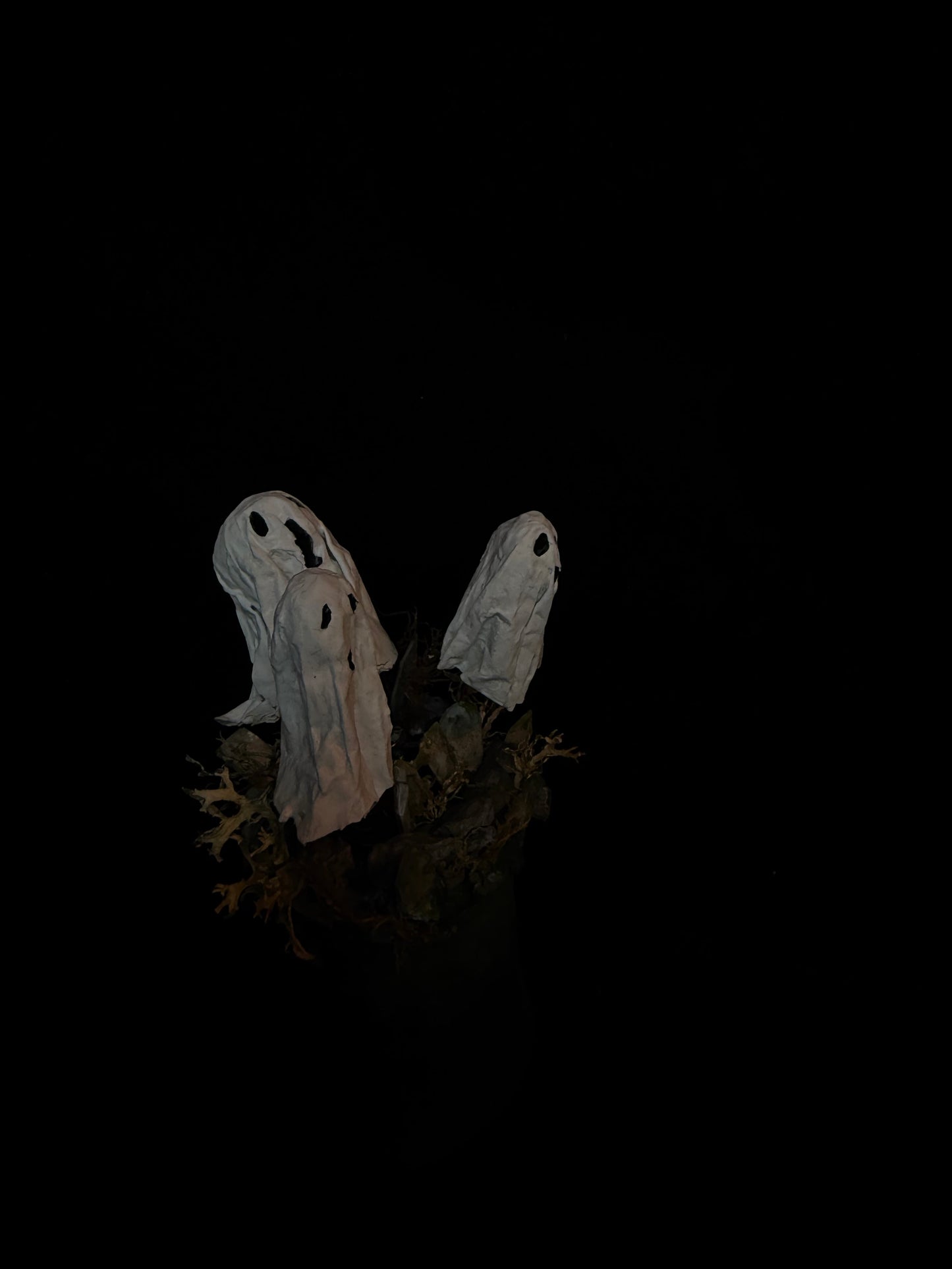 Ghosts
