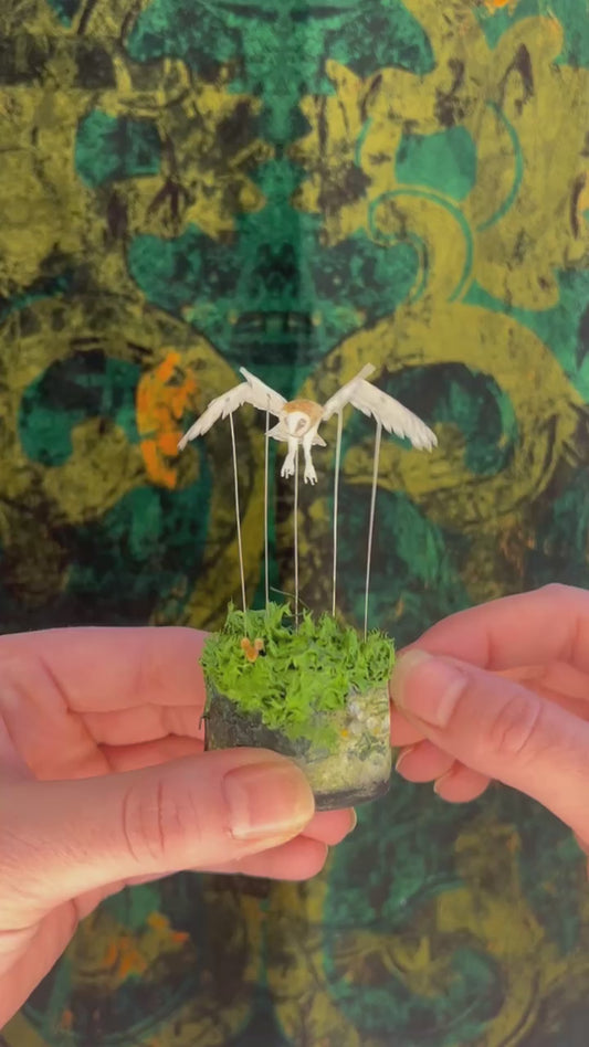 Workshop: Automata: Barn Owl