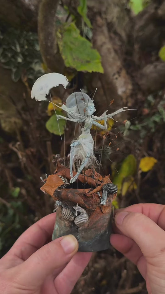 Pre-Order: Moonlight Dancing